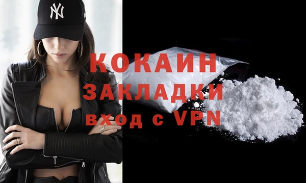 mix Богородицк