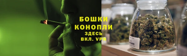 mix Богородицк