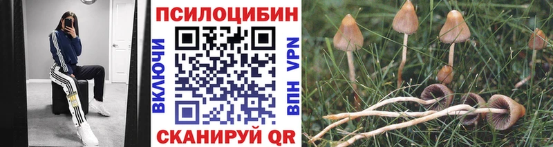 Псилоцибиновые грибы MAGIC MUSHROOMS  купить   мега вход  Ижевск 