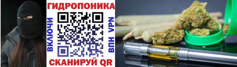МЕГА ССЫЛКА  Ижевск  Канабис сатива 